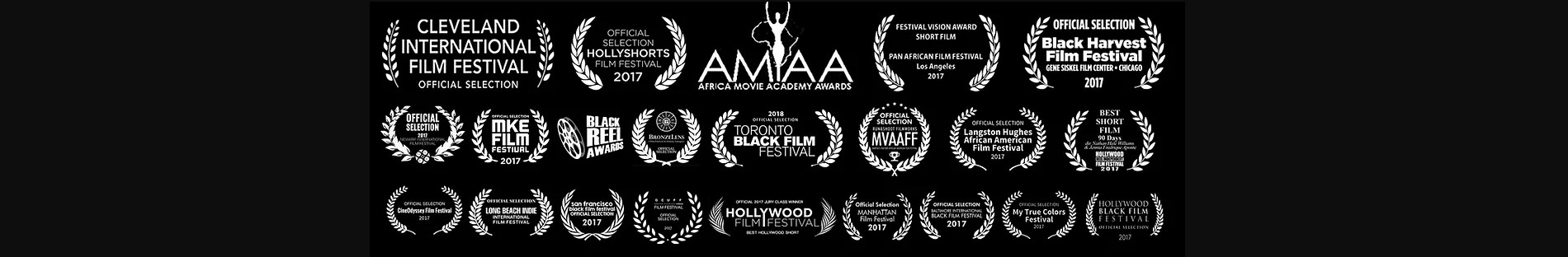 Video production awards won by Two Door FX