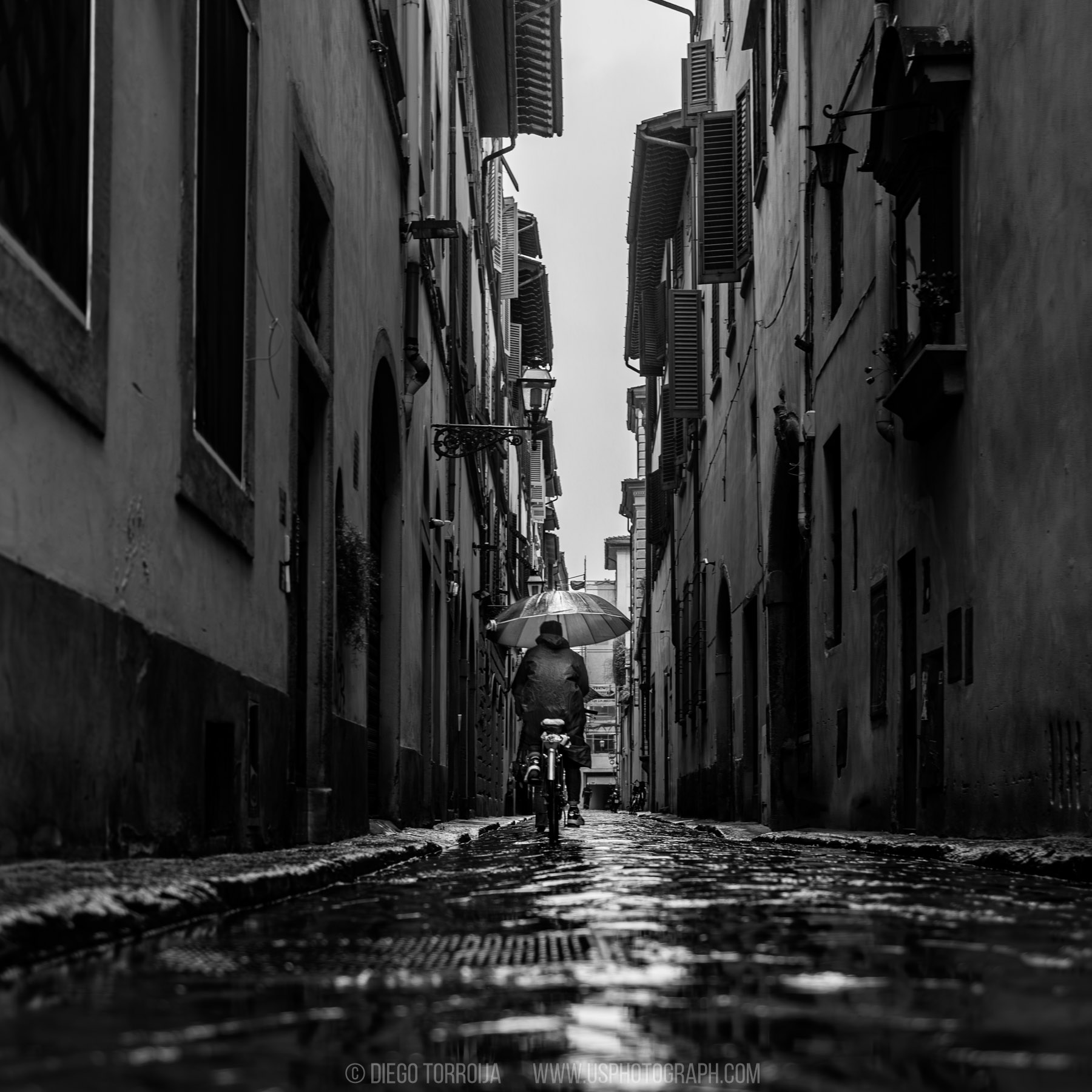 Cyclist holding an umbrella on a wet, narrow cobblestone street in Florence, low-angle black and white photo