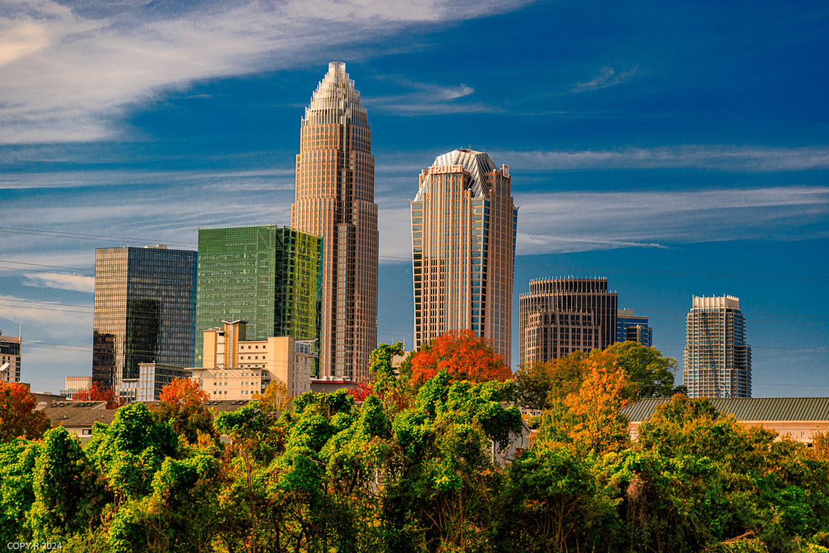 Charlotte skyscrapers against a blue sky above autumn treetops